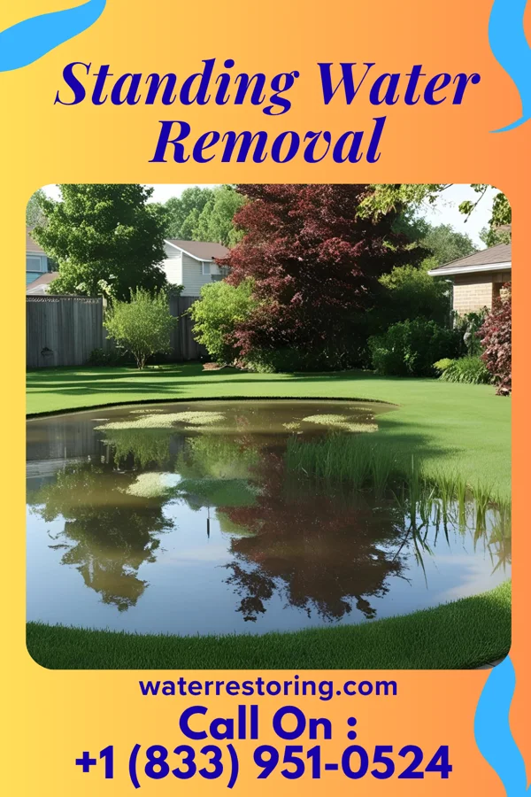 Standing Water Removal in Broomtown, AL